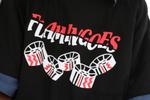Flamingoes