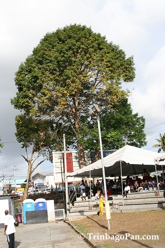 ec3005074217.jpg