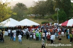 Pan in the Hollows 2008