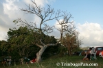 pihL1506081889.jpg