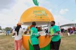 psfC1602146470.jpg